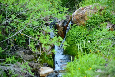 DSC_0092 (Large).JPG